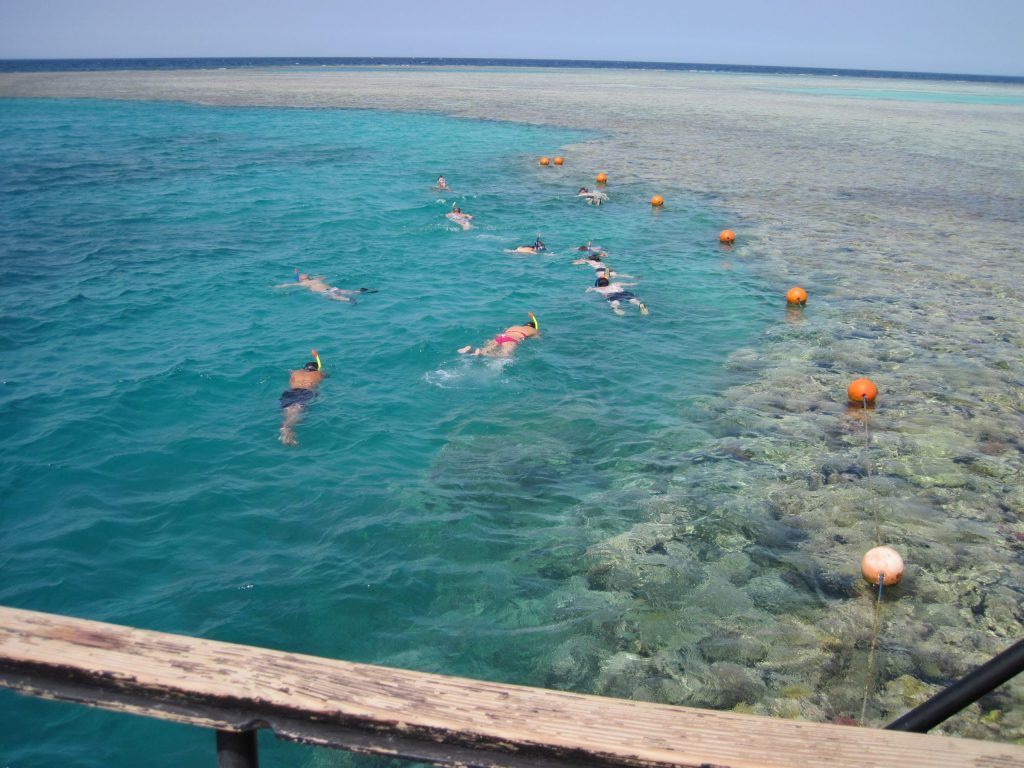 Schnorcheln am Riff in der Makadi Bay